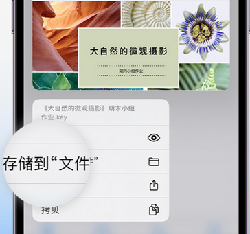 拉孜apple维修中心分享iPhone文件应用中存储和找到下载文件