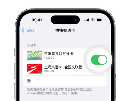 拉孜apple维修点分享iPhone上更换Apple Pay快捷交通卡手绘卡面 