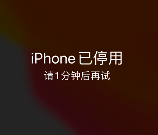 拉孜苹果手机维修分享:iPhone 显示“不可用”或“已停用”怎么办？还能保留数据吗？ 