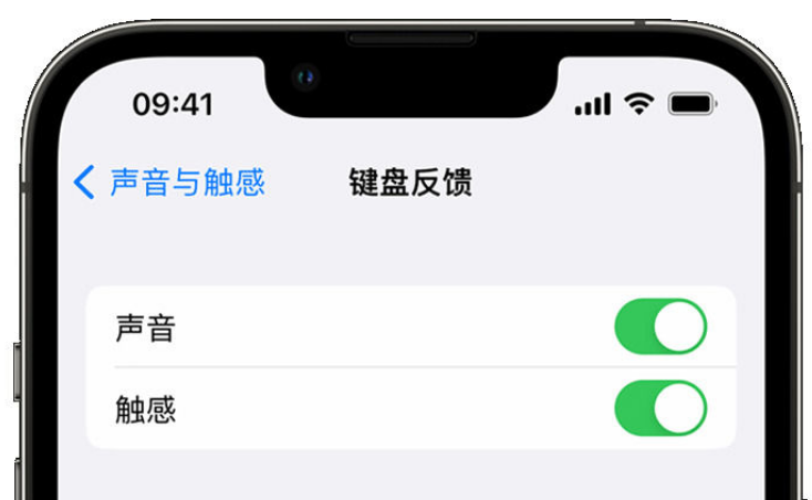 拉孜苹果手机维修分享iPhone 14触感键盘使用方法 