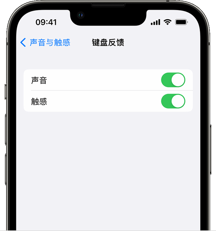 拉孜苹果14维修店分享如何在 iPhone 14 机型中使用触感键盘 