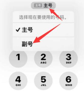 拉孜苹果14维修店分享iPhone 14 Pro Max使用副卡打电话的方法 