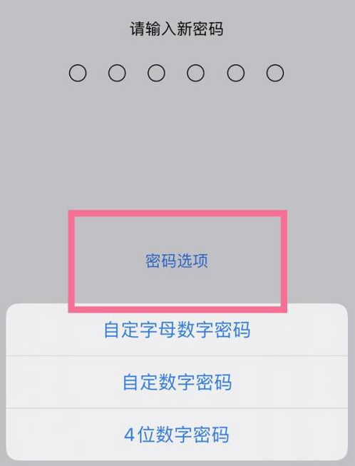 拉孜苹果14维修分享iPhone 14plus设置密码的方法 