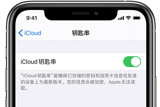 拉孜苹果手机维修分享在 iPhone 上开启 iCloud 钥匙串之后会储存哪些信息 