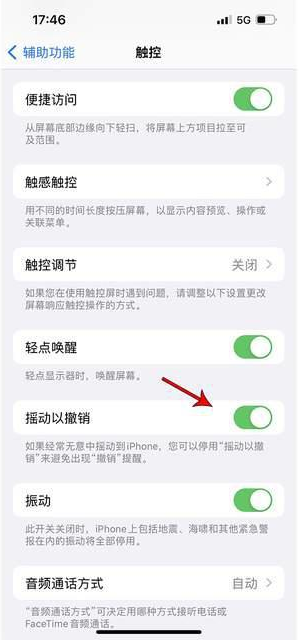 拉孜苹果手机维修分享iPhone手机如何设置摇一摇删除文字 